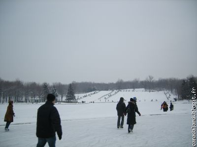 Le Mont Royal