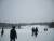 Le Mont Royal