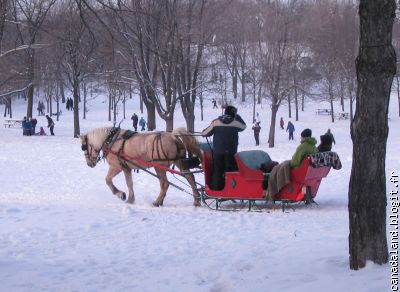 Traineau
