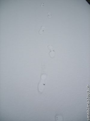 Mes premiers pas dans la neige